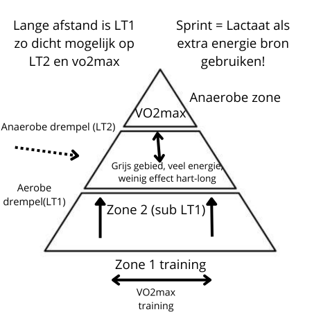 Trainingspiramide: rustige basis, drempels en intensieve training